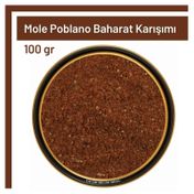 Tos 100 gr Mole Poblano Baharat Karışımı