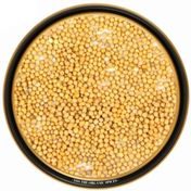 TOS The Organic Spices 50 gr Sarı Hardal Tohumu