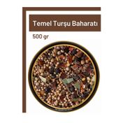 TOS The Organic Spices 500 gr Temel Turşu Baharatı