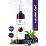 Vesta Life 700 gr Doğal Karadut Özü