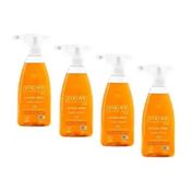 Viking Premium 4 x 750 ml Turunç Bahçesi Mutfak Spreyi