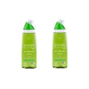 Viking Premium Şeker Camı 2 x 750 ml Wc Temizleyici