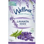 Wellnax 5x21 gr Lavanta Kesesi Dolap ve Çekmece Kokusu