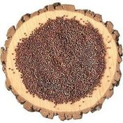 ZBD 100 gr Roka Tohumu