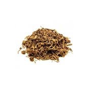 Zembilden 50 gr Kediotu Kökü