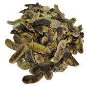 Zencefil Organik 2 kg Açlık Otu