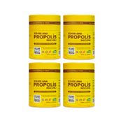 Zühre Ana Propolis Macunu