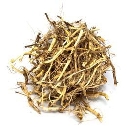1 kg Ayrık Kökü Ayrık Otu