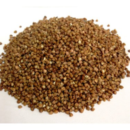 1 kg Çiğ Karabuğday