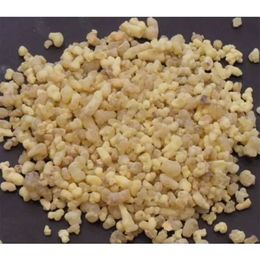 1 kg Günlük Sakızı