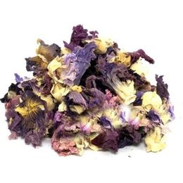 1 kg Hatmi Çiçeği Gülhatmi
