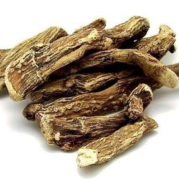 1 kg Hazanbel Kök