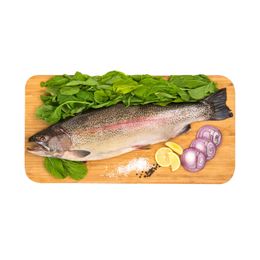 1 kg İri Alabalık