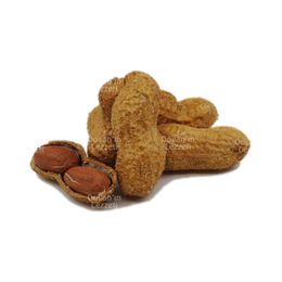 1 kg Kabuklu Tuzlu Yer Fıstığı