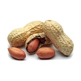 1 kg Kabuklu Tuzlu Yer Fıstığı