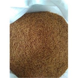 1 kg Kavrulmuş Şehriye