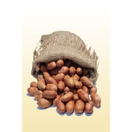 1 kg Kavrulmuş Tuzsuz Yer Fıstığı