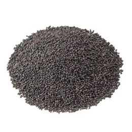 1 kg Siyah Hardal Tohumu