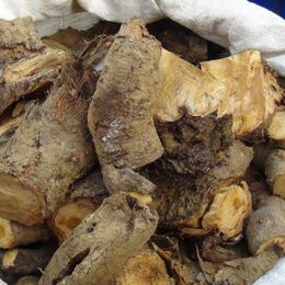 1 kg Uçkun Kökü