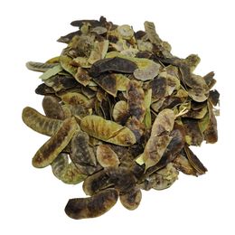 100 gr Açlık Otu Deve Gözü