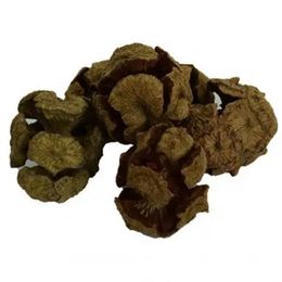 100 gr Doğal Selvi Kozalağı Saf Kozalak