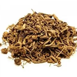 100 gr Kediotu Kökü