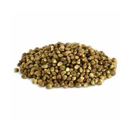 100 gr Kendir Tohumu