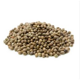 100 gr Kendir Tohumu