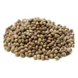100 gr Kendir Tohumu