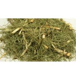 100 gr Kırkkilit Otu