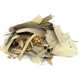 100 GR Okaliptüs Yaprağı