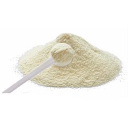 100 gr Salep