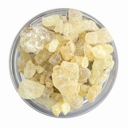 100 gr Sandaloz Sakızı