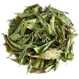 100 gr Stevia Yaprağı
