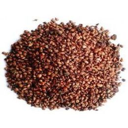 100 gr Üzüm Çekirdeği Tane