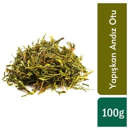 100 gr Yapışkan Andız Otu