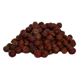 1000 gr Doğal Tane Ardıç Tohumu