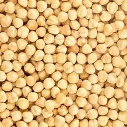 1,5 kg Kavrulmuş Fındık İçi