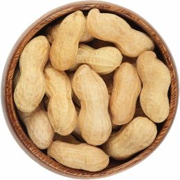 250 g Kabuklu Fıstık