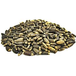 250 gr Deve Dikeni Tohumu