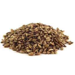 250 gr Deve Dikeni Tohumu