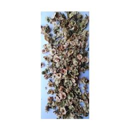 250 gr Karaçaltı Otu