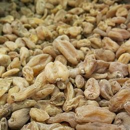 250 gr Saf Sahlep