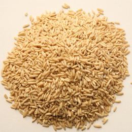 250 gr Soyulmuş Tane Yulaf