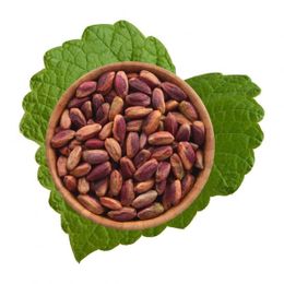 300 gr Antep Fıstığı İçi