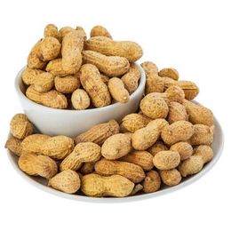 400 gr Kavrulmuş Kabuklu Yer Fıstığı