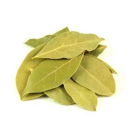 50 gr Defne Yaprağı