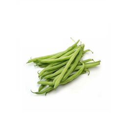 50 gr Fasulye Tohumu