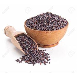 50 gr Siyah Hardal Tohumu