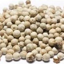 50 gr Tane Beyaz Biber